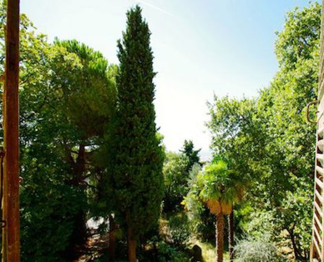 JARDIN-GAIRAUT milpa event