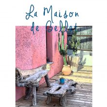 LA MAISON DE BELLET nice