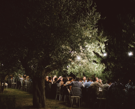 table dans l'oliveraie